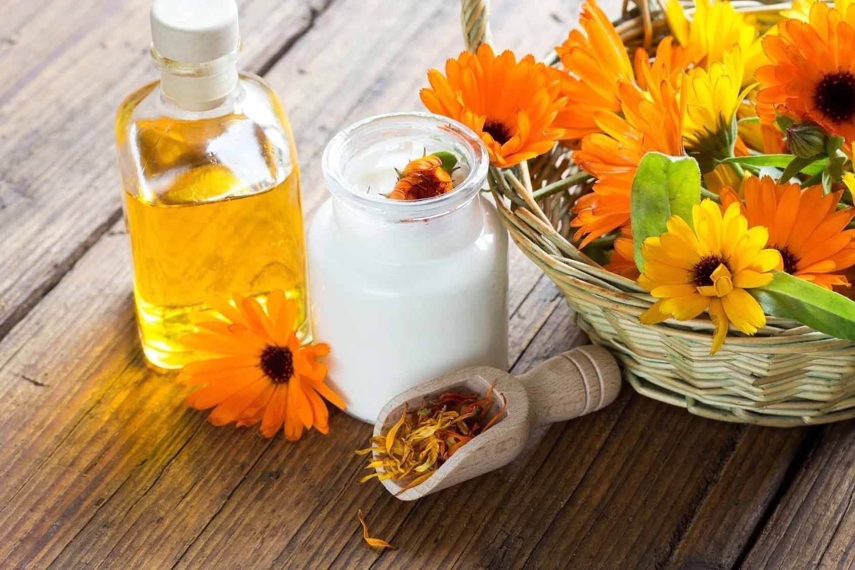 calendula la flor milagrosa