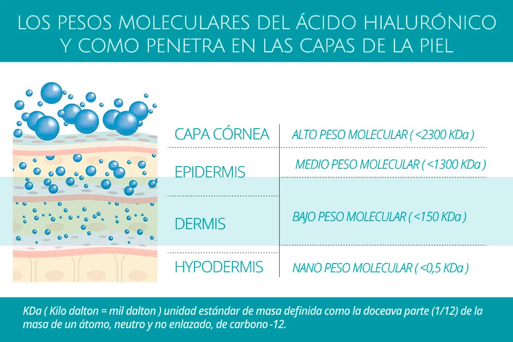 los acidos hialuronicos y como penetran en la piel